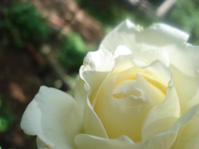 b0248920_711238.jpg