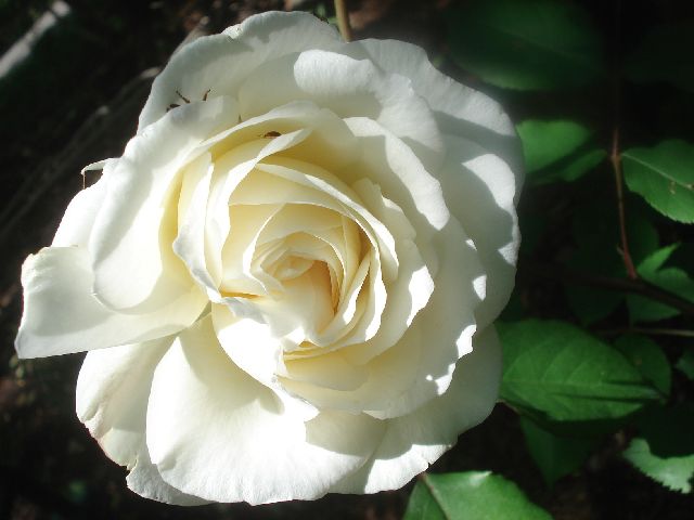 b0248920_7122520.jpg