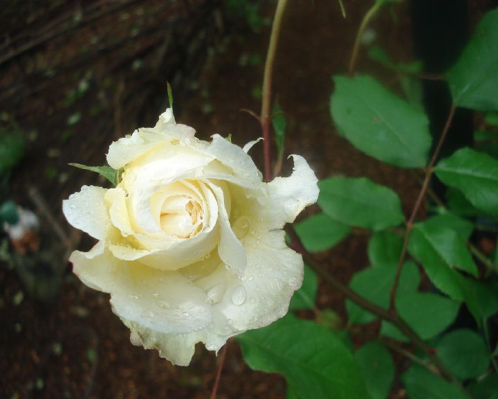 b0248920_721195.jpg