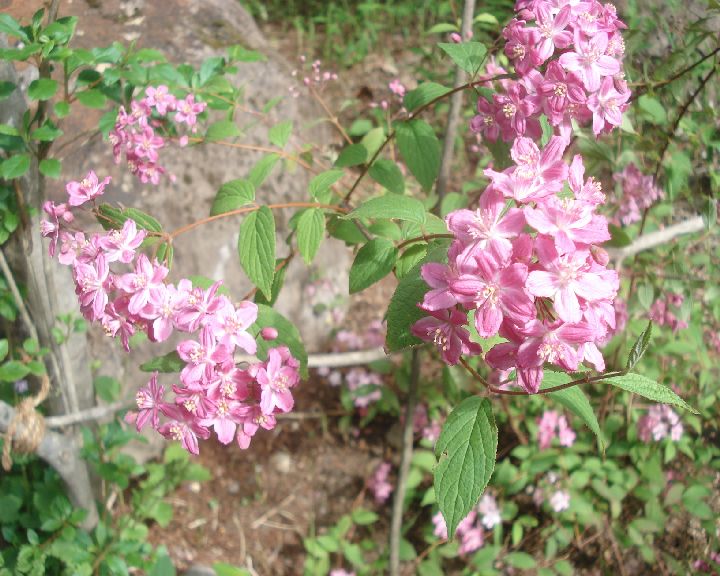 b0248920_7351817.jpg