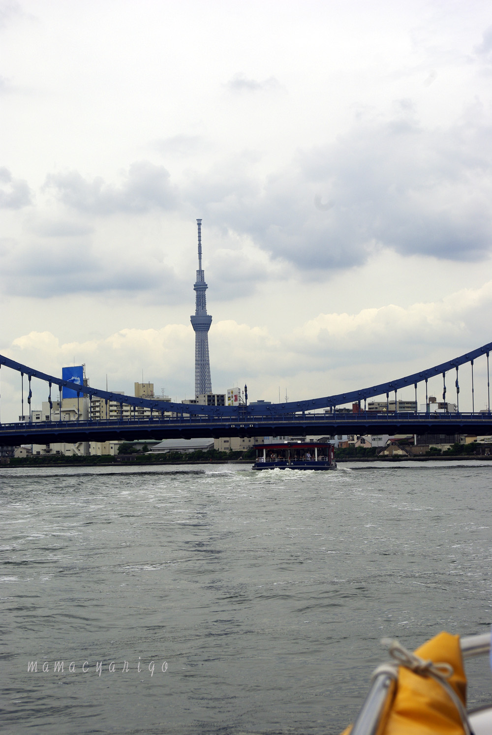 d0158925_533547.jpg