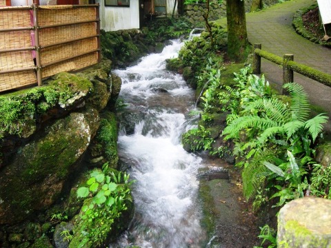 f0213825_2054194.jpg