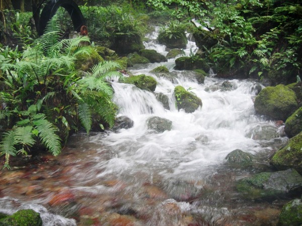 f0213825_2184141.jpg