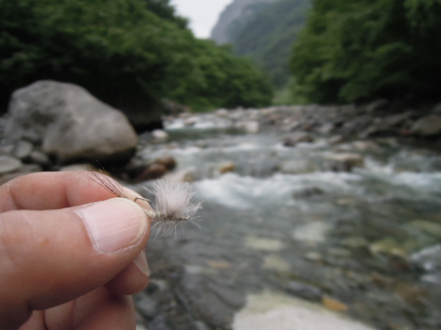 e0147226_04755.jpg