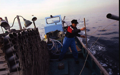 b0187229_16371982.png