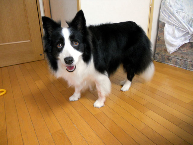 d0059230_98010.jpg