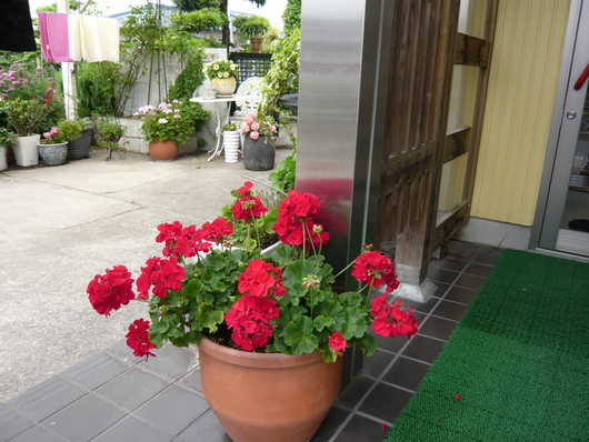 a0206332_817562.jpg