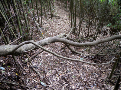 e0272335_20151238.jpg