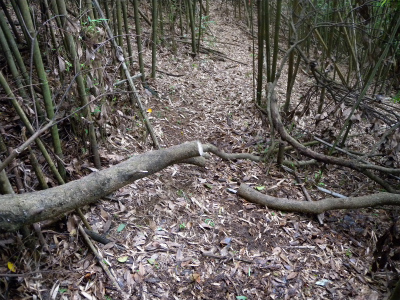 e0272335_20164845.jpg