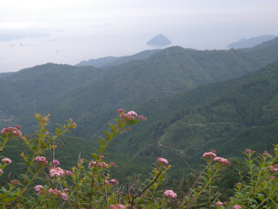 e0272335_2019411.jpg