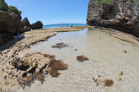 a0167341_13522621.jpg