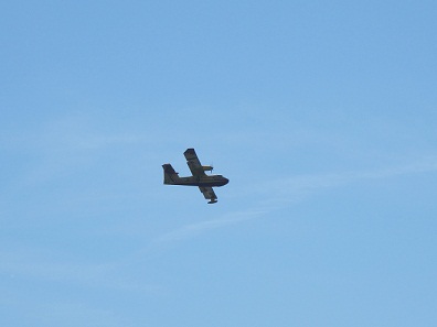 d0167041_20492284.jpg