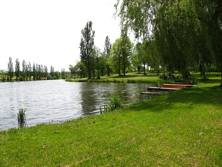 d0167041_351989.jpg