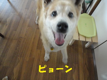 c0211642_14563983.jpg