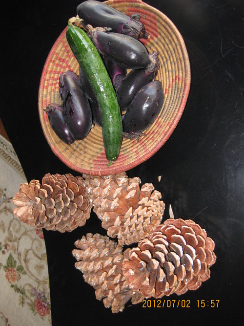 f0190942_16153145.jpg