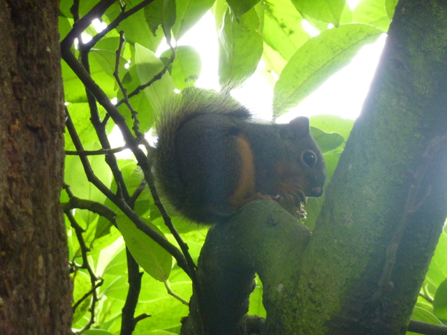 a0255343_6122631.jpg
