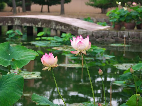 c0057946_231237.jpg