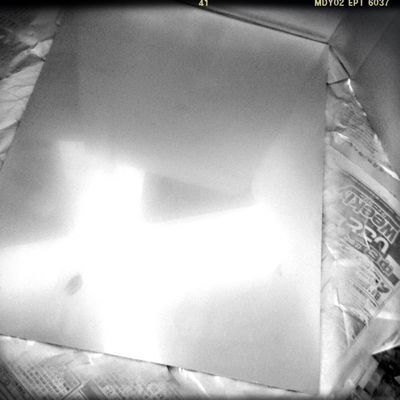 d0204646_1602690.jpg