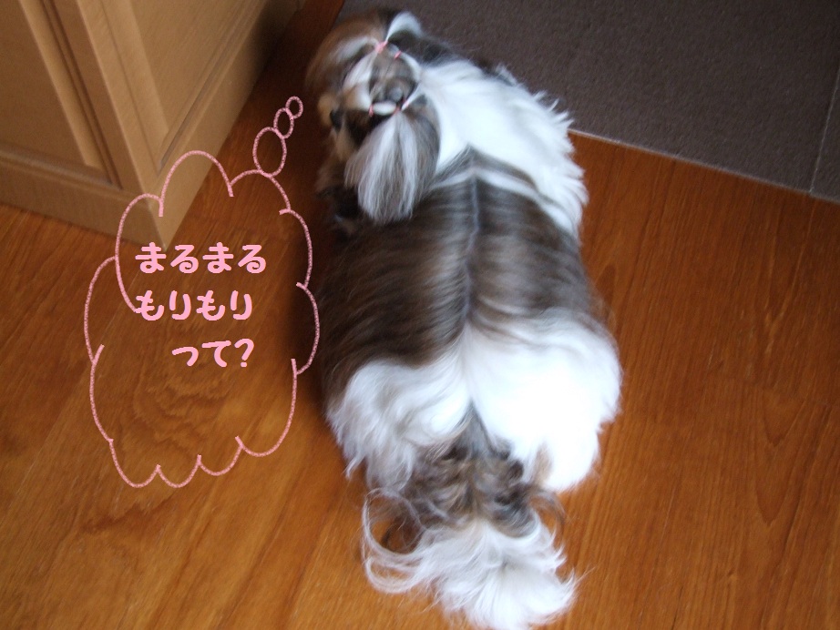 a0091448_2124599.jpg
