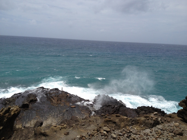 e0033156_745731.jpg