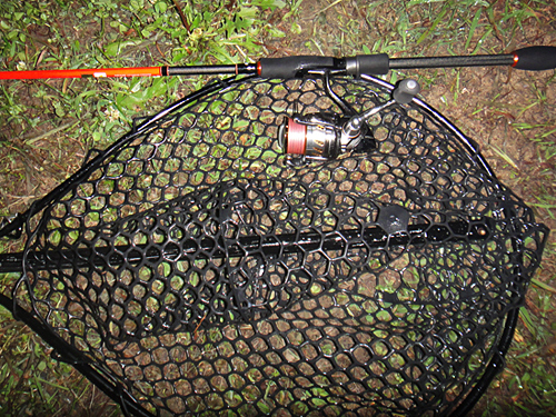 e0247157_028499.jpg