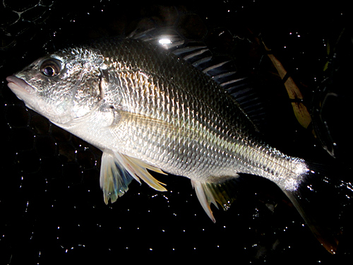 e0247157_0363945.jpg