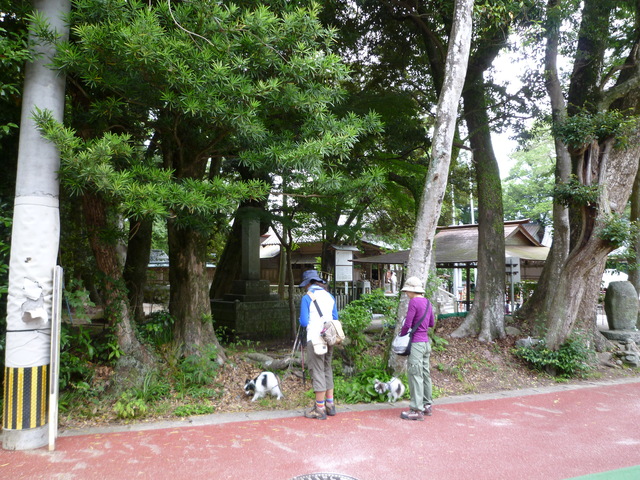 b0137459_21374794.jpg