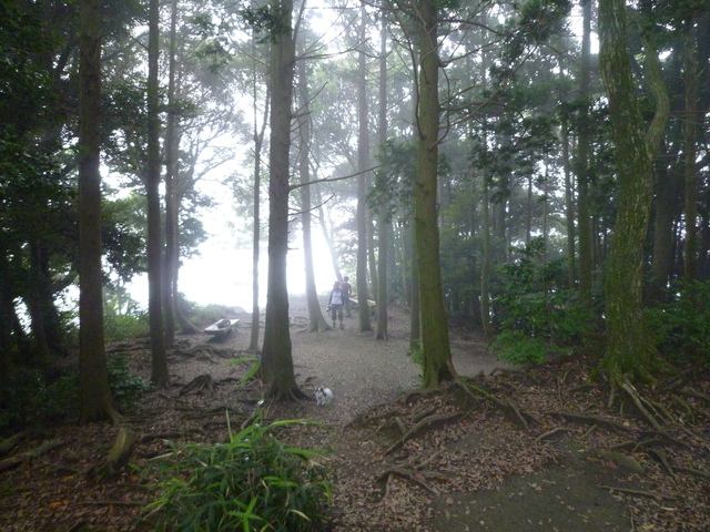 b0137459_2217498.jpg