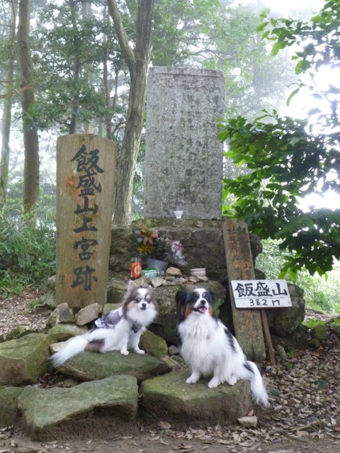 b0137459_2223972.jpg