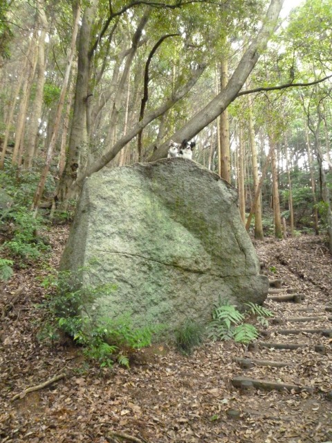 b0137459_22465322.jpg