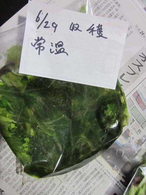 e0181260_2122175.jpg