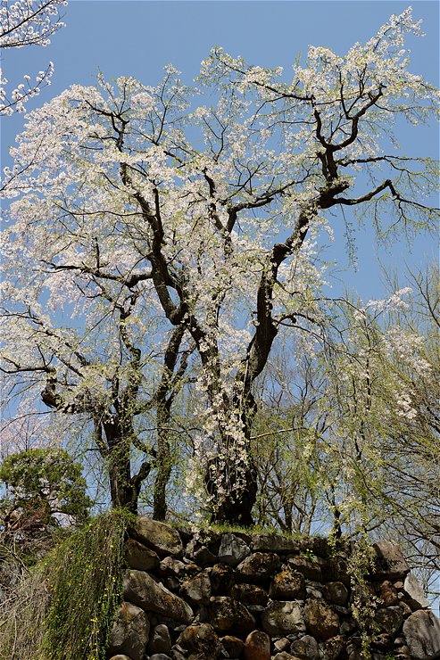 f0222161_20311073.jpg