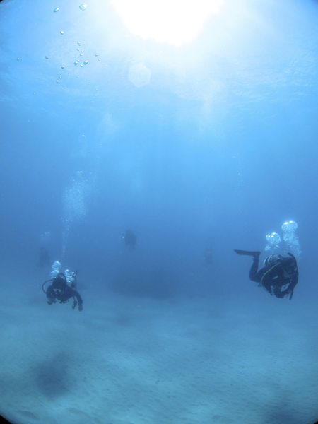 b0062363_5401161.jpg