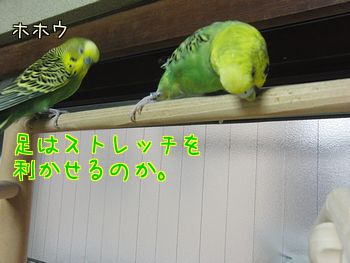 f0196665_10185120.jpg