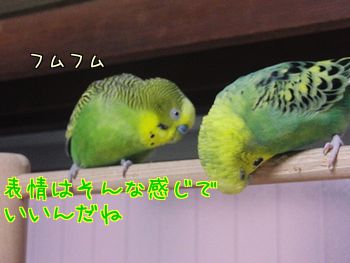 f0196665_1019450.jpg