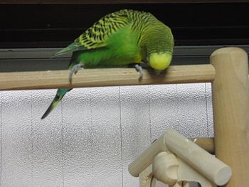 f0196665_10232211.jpg