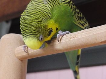 f0196665_1025107.jpg
