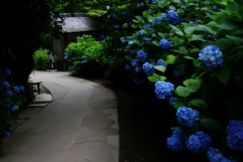 e0045768_21473019.jpg