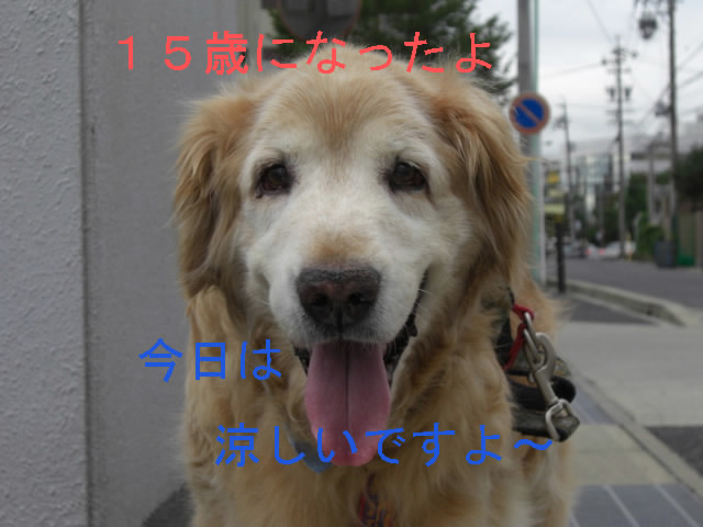 f0036269_22153473.jpg