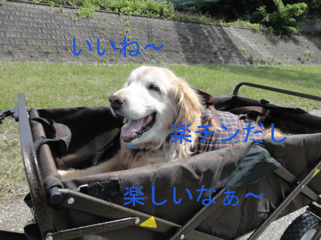 f0036269_22242697.jpg