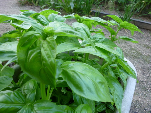 c0216472_2184544.jpg