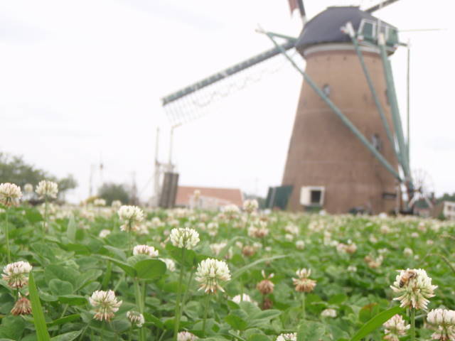 a0113874_20335051.jpg