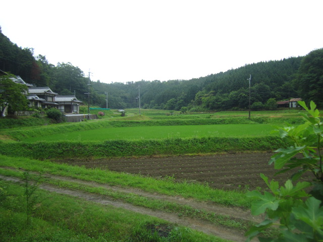 b0245877_0212186.jpg