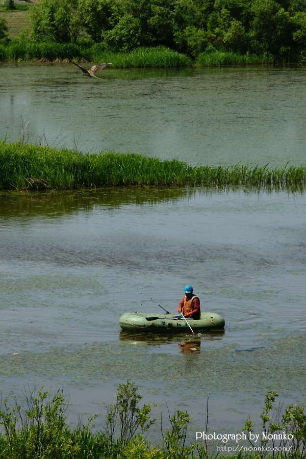 c0106977_12434420.jpg