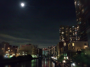 d0030877_2314539.jpg
