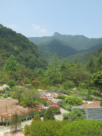 b0182978_1050476.jpg