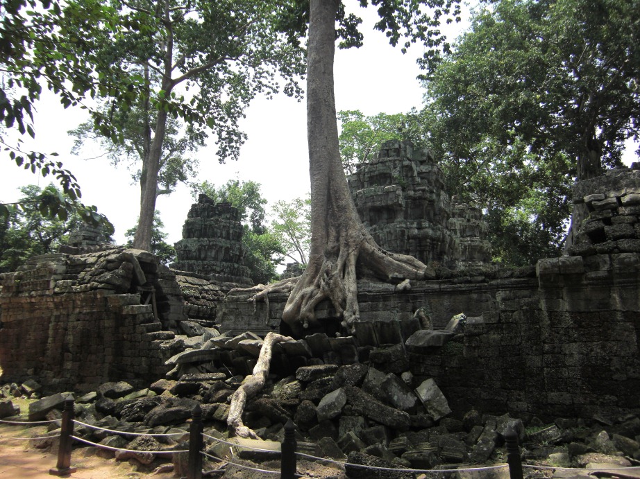 e0027681_1310116.jpg