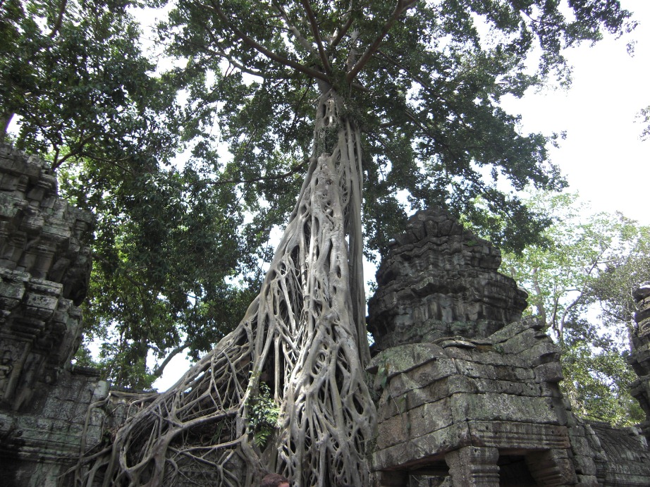 e0027681_13103363.jpg