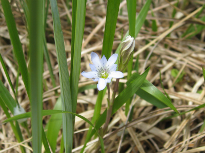 c0138182_11192450.jpg