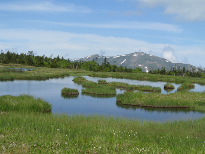 c0138182_1123837.jpg